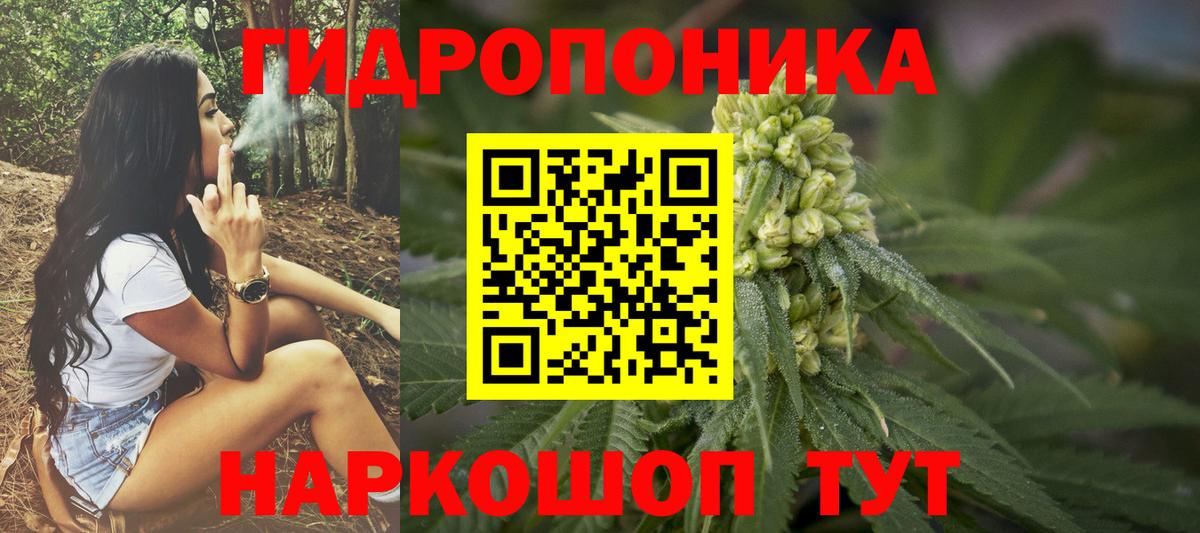 Шишки марихуана тримм  Канабис планчик  Бошки Шишки White Widow  Вход с VPN  Конопля LSD WEED  Аргун 
